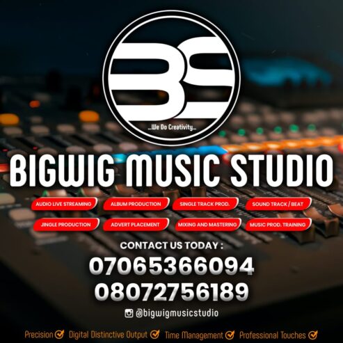 Bigwig Multimedia Studio