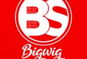 Bigwig Multimedia Studio