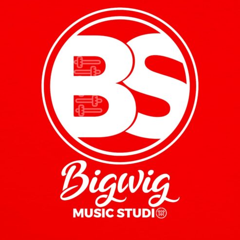 Bigwig Multimedia Studio