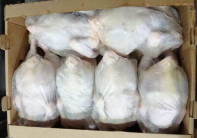 Wholesale Broiler Chicken