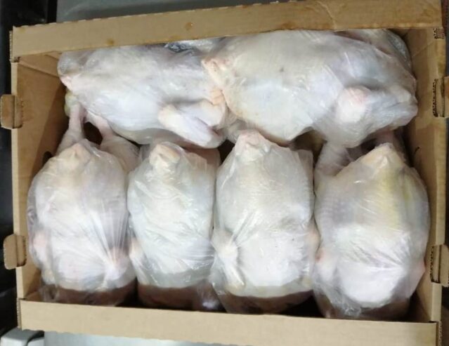 Wholesale Broiler Chicken