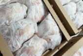 Wholesale Broiler Chicken