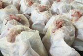 Wholesale Broiler Chicken