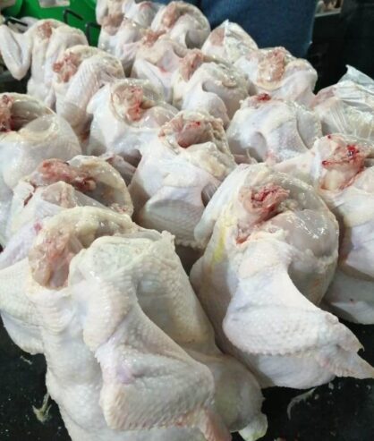 Wholesale Broiler Chicken