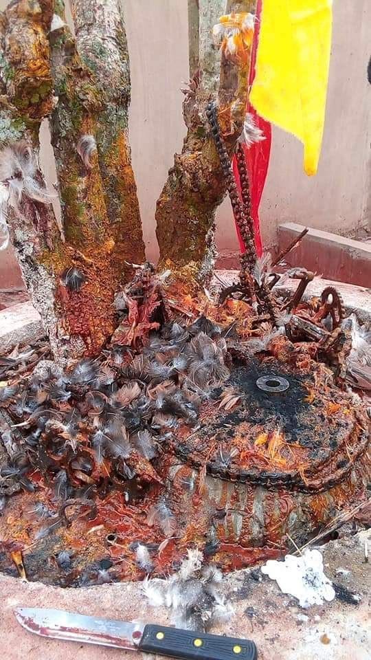 +2348167256910 #join secrets occult for spiritual consultation financial breakthrough power and fame